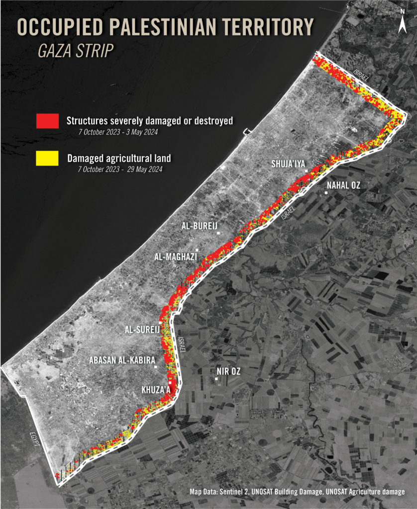 Satellite imagery shows Gaza and highlights the one-kilometer buffer zone area. It also shows the damaged and destroyed structures highlighted in red and the areas with major decline in health and density of crops due to the ongoing conflict highlighted in yellow.